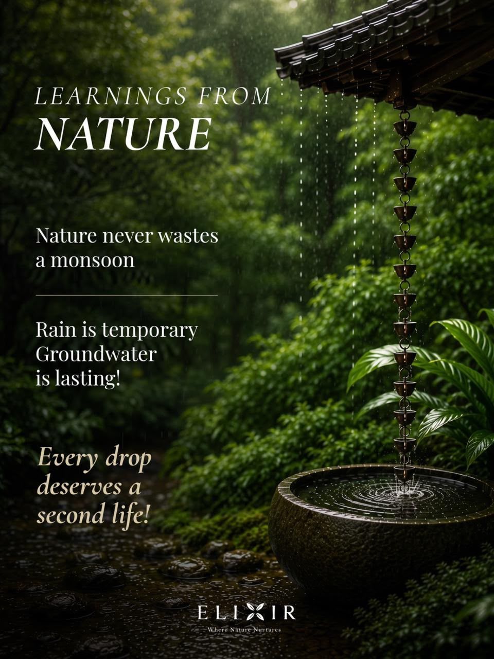 Monsoon greens